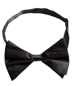Bristol Novelty Black Bow Tie Accessories