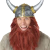 California Costumes Viking Helmet And Hair Costume Accessory