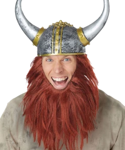 California Costumes Viking Helmet And Hair Costume Accessory
