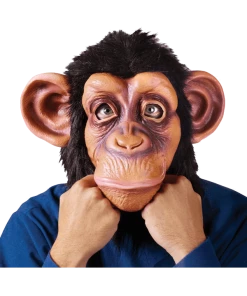 Palmer Comical Chimp Mask
