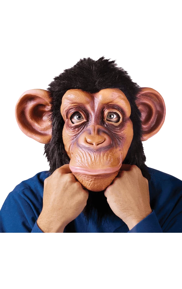 Palmer Comical Chimp Mask