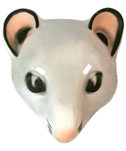 Pams Of Gainsborough Masks Mouse Mask