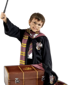 Rubies All Girls Costumes Child Harry Potter Costume & Trunk Set