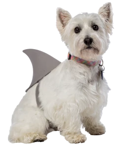 Rasta Imposta Shark Fin Dog Costume Dog Costumes