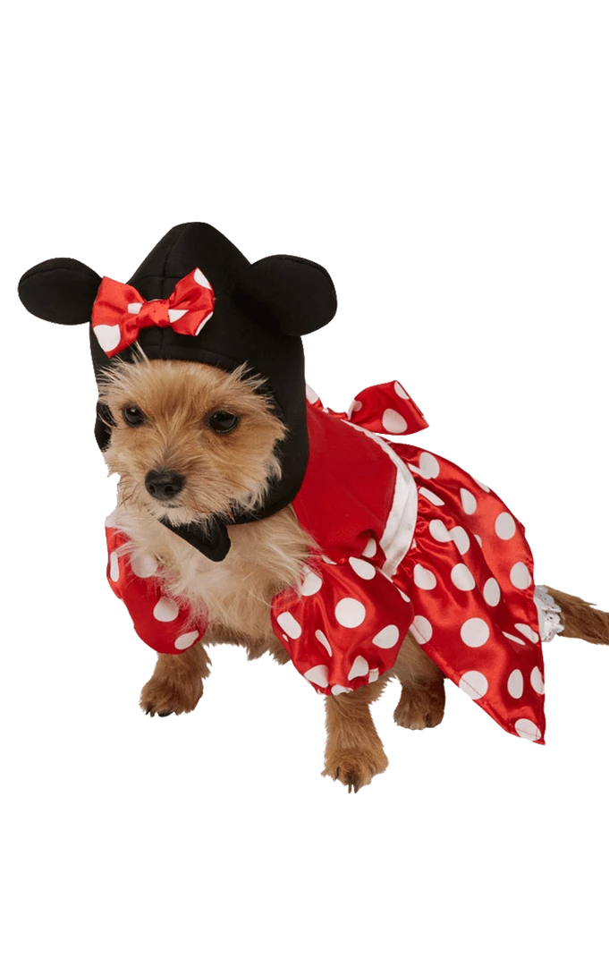 Rubies Disney Minnie Mouse
