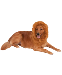 Rubies Accessories Deluxe Lion Mane