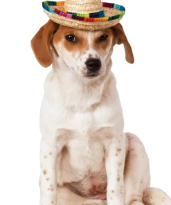 Rubies Enchiwawa Sombrero Dog Costume Accessories