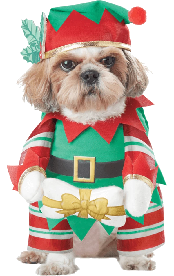 California Costumes Elf Pup Christmas Dog Costume