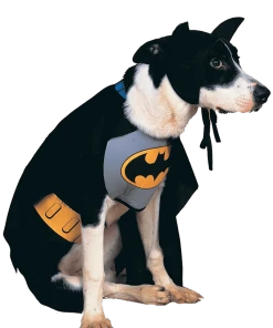 Rubies Classic Batman