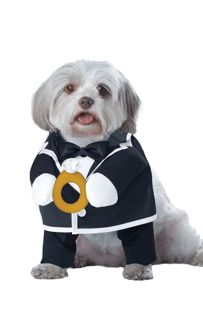 California Costumes Dog Costumes Puppy Groom Dog Costume