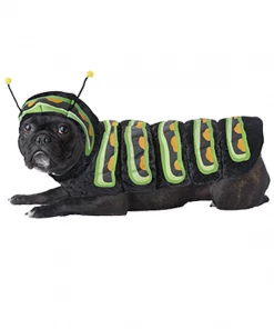 California Costumes Caterpillar All Themes