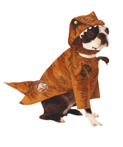 Rubies T-Rex
