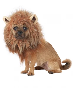 California Costumes Animals King Of The Jungle