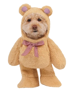 Rubies All Themes Walking Teddy Bear
