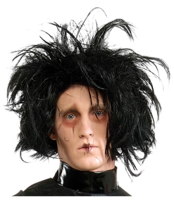 Generic Accessories Edward Scissorhands Black Wig
