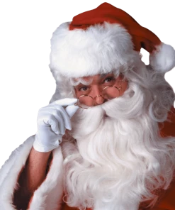 Rubies Deluxe Santa White Wig & Beard Set Accessories