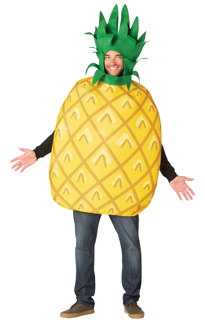 Rasta Imposta Adults Pineapple Costume