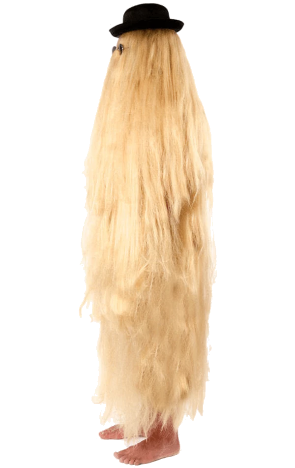 Orion Costumes All Mens Costumes Adult Hairy Relative Costume