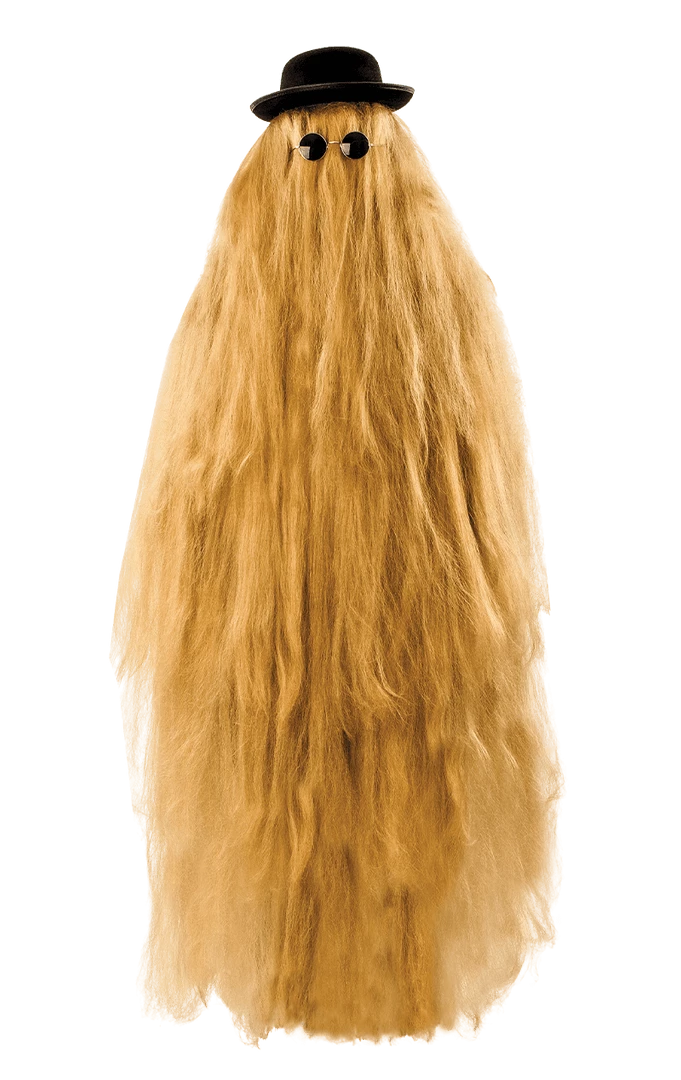 Orion Costumes All Mens Costumes Adult Hairy Relative Costume