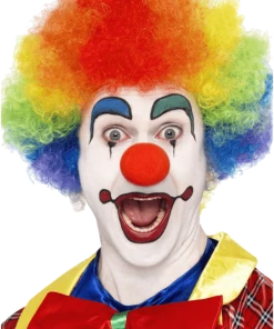 Bristol Novelty Rainbow Clown Wig Accessory Accessories