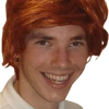 Bristol Novelty Ginger Tony Wig Accessories