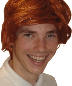 Bristol Novelty Ginger Tony Wig Accessories