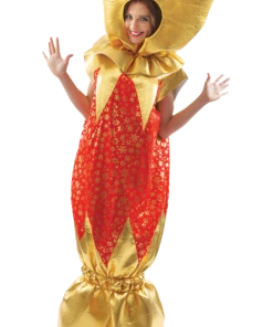 Orion Costumes All Mens Costumes Christmas Cracker Costume