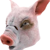 Bristol Novelty Pig Mask