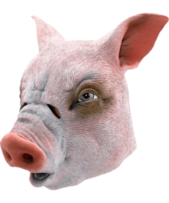 Bristol Novelty Pig Mask