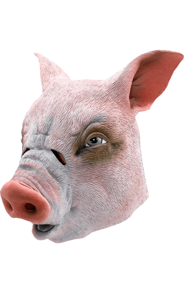 Bristol Novelty Pig Mask