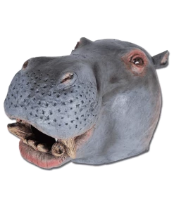 Bristol Novelty Animals Adult Hippo Mask