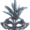 Bristol Novelty All Womens Costumes Feathered Mask