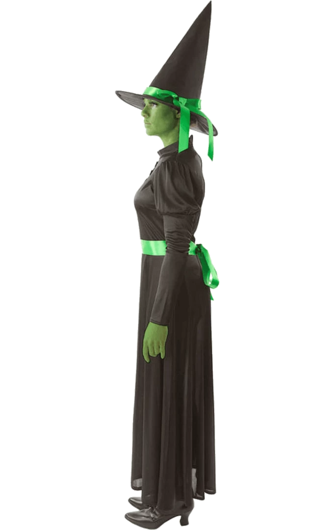 Orion Costumes All Womens Costumes Wicked Witch Outfit