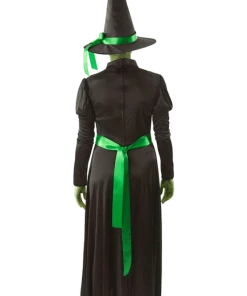 Orion Costumes All Womens Costumes Wicked Witch Outfit