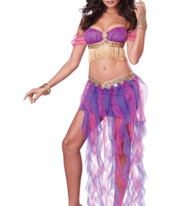 California Costumes All Womens Costumes Belly Dancer Costume