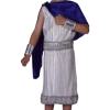 Pams Of Gainsborough Child Classic Caesar Roman Costume Kids