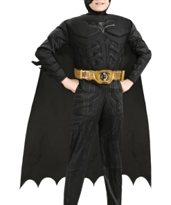 Rubies Kids Muscle Batman Costume All Boys Costumes