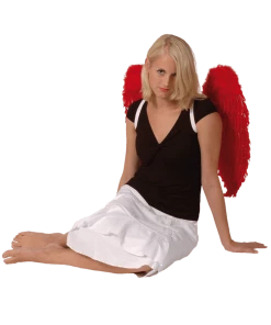 Boland Red Feather Wings 65x65cm