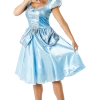 Rubies Adult Disney Cinderella Costume All Womens Costumes