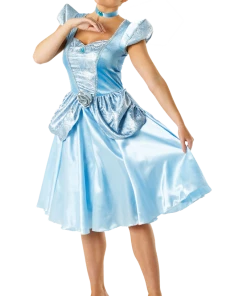 Rubies Adult Disney Cinderella Costume All Womens Costumes