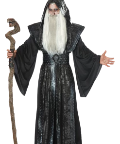 California Costumes Mystic Wizard Costume All Mens Costumes