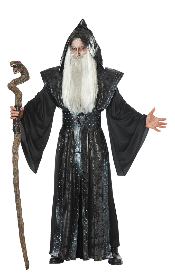 California Costumes Mystic Wizard Costume All Mens Costumes
