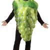 Rasta Imposta All Mens Costumes Get Real Grapes Green
