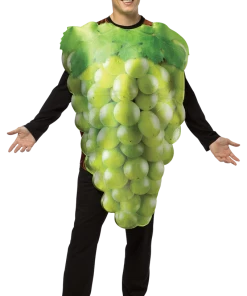 Rasta Imposta All Mens Costumes Get Real Grapes Green