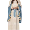 Generic All Womens Costumes The Virgin Mary Costume