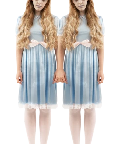 Orion Costumes Womens The Shining Twin Costume All Womens Costumes