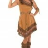 Fun Shack Adult Womens Indian Squaw Costume