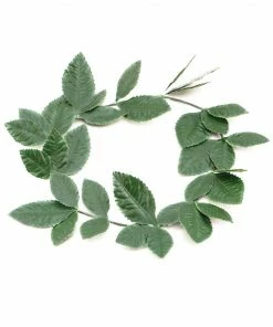Bristol Novelty Roman Laurel Wreath Greek And Roman