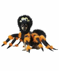 California Costumes Spider Dog Costume